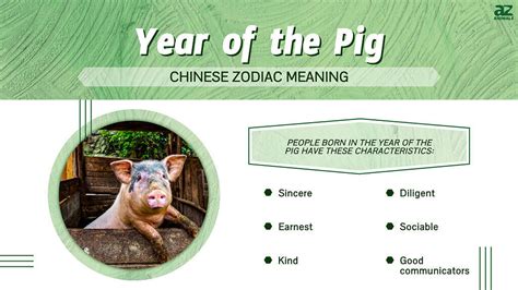 猪年|Year of the Pig: Chinese Zodiac Pig 2025 Horoscope。